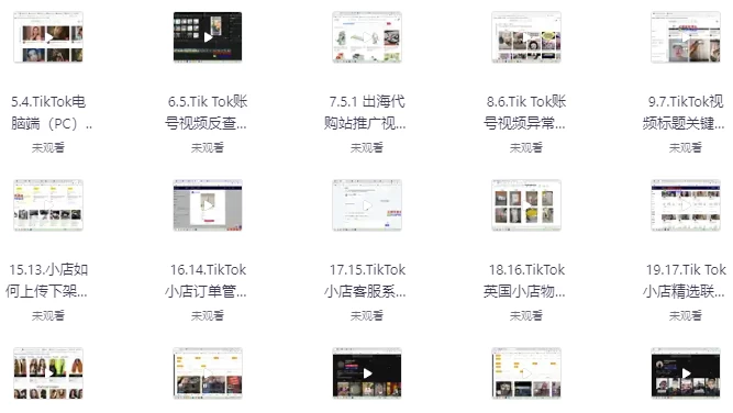 TikTok跨境短视频零基础到精通网赚变现课-92资源网