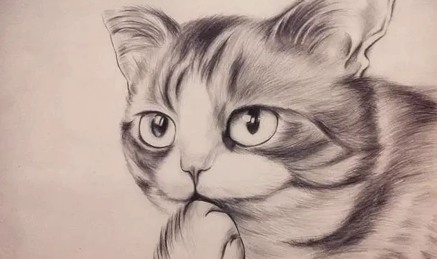 素描零基础直达四级课程-92资源网