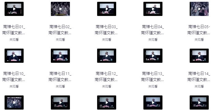 南禅七日（视频讲座+音频+文档 21集）-92资源网