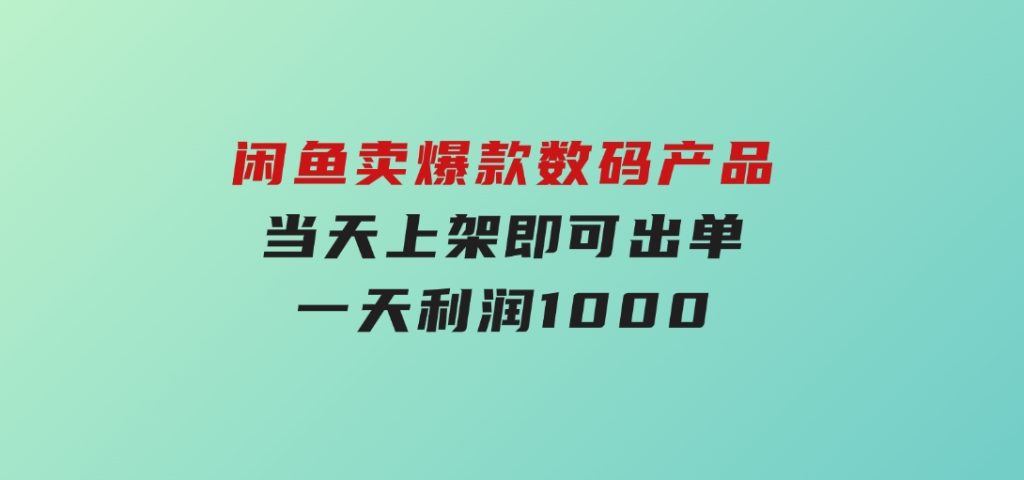 闲鱼卖爆款数码产品，当天上架即可出单，一天利润1000-92资源网