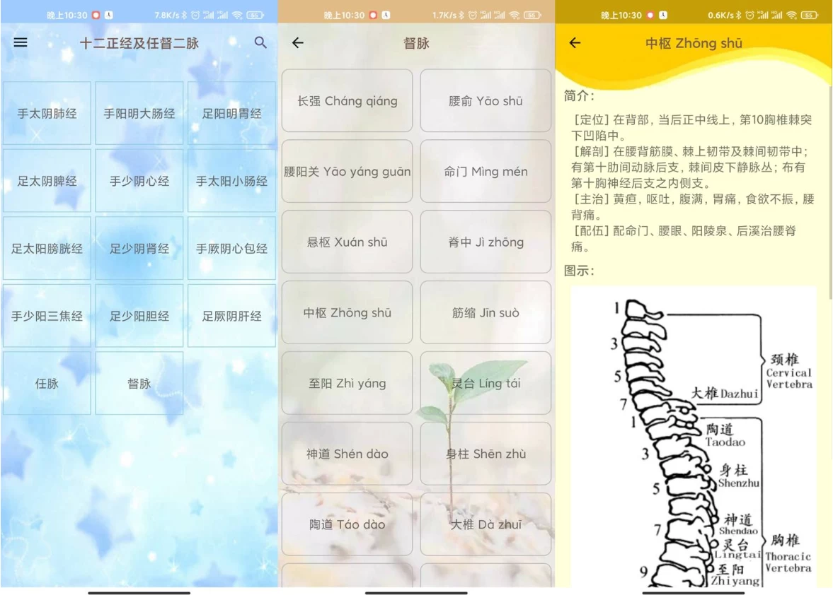 人体穴位图解 v3.1.8 可离线版-92资源网