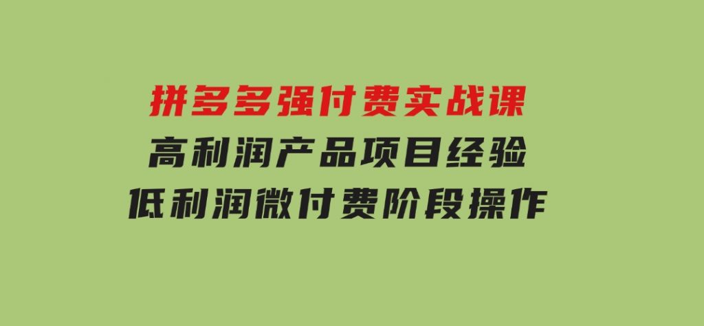 拼多多强付费实战课-44期，高利润产品项目经验，低利润微付费阶段操作-92资源网