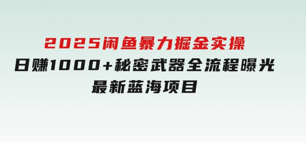 2025闲鱼暴力掘金实操！日赚1000+秘密武器全流程曝光，最新蓝海项目信-92资源网