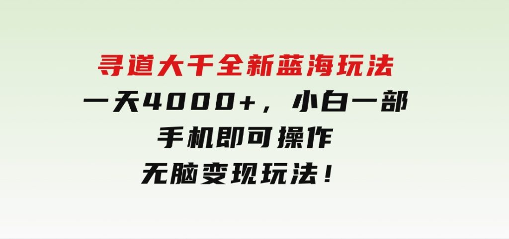 寻道大千全新蓝海玩法，一天4000+，小白一部手机即可操作，无脑变现玩法！-92资源网