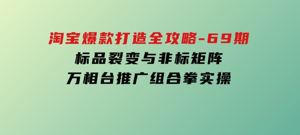 淘宝爆款打造全攻略-69期，标品裂变与非标矩阵，万相台推广组合拳实操-92资源网