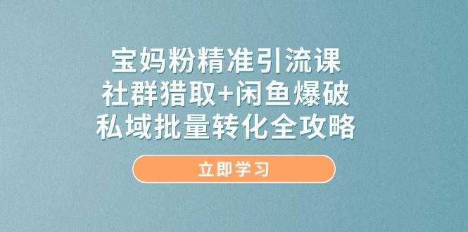 （14820期）宝妈粉精准引流课，社群猎取+闲鱼爆破，私域批量转化全攻略-92资源网
