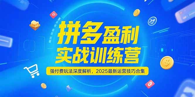 （15183期）拼多多盈利实战训练营，强付费玩法深度解析，2025最新运营技巧合集-92资源网