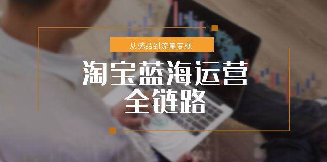 （15160期）淘宝蓝海运营全链路，从选品到流量变现，小类目突围完整方案-92资源网