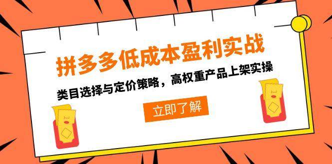 （15143期）拼多多低成本盈利实战，类目选择与定价策略，高权重产品上架实操-92资源网
