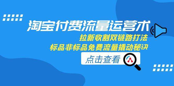 （15135期）淘宝付费流量运营术，拉新收割双链路打法，标品非标品免费流量撬动秘诀-92资源网