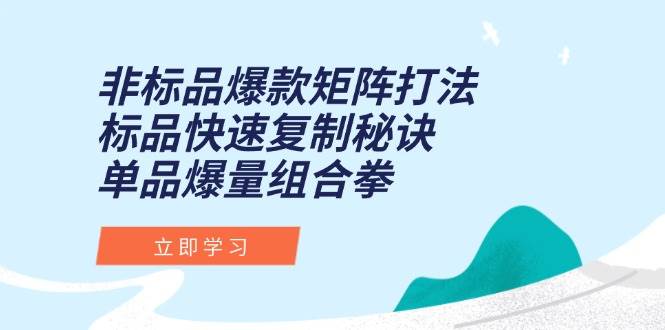 （15068期）非标品爆款矩阵打法，标品快速复制秘诀，单品爆量组合拳-92资源网