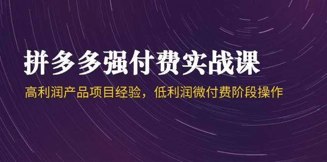 （14874期）拼多多强付费实战课-44期，高利润产品项目经验，低利润微付费阶段操作-92资源网
