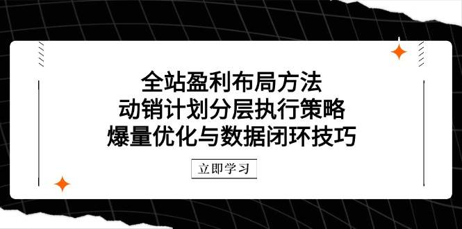 （14698期）全站盈利布局方法：动销计划分层执行策略，爆量优化与数据闭环技巧-92资源网