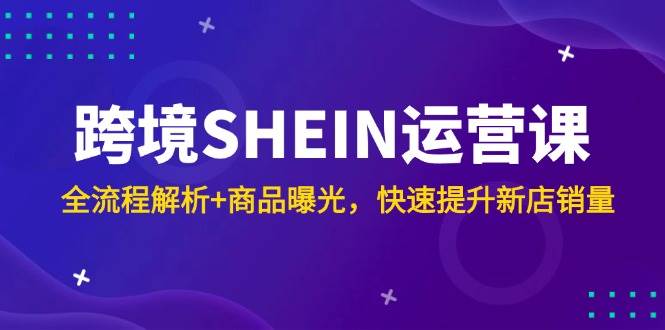 （14832期）跨境SHEIN运营课，全流程解析+商品曝光，快速提升新店销量-92资源网