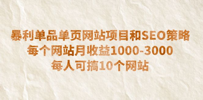 （6503期）暴利单品单页网站项目和SEO策略  每个网站月收益1000-3000  每人可搞10个-92资源网