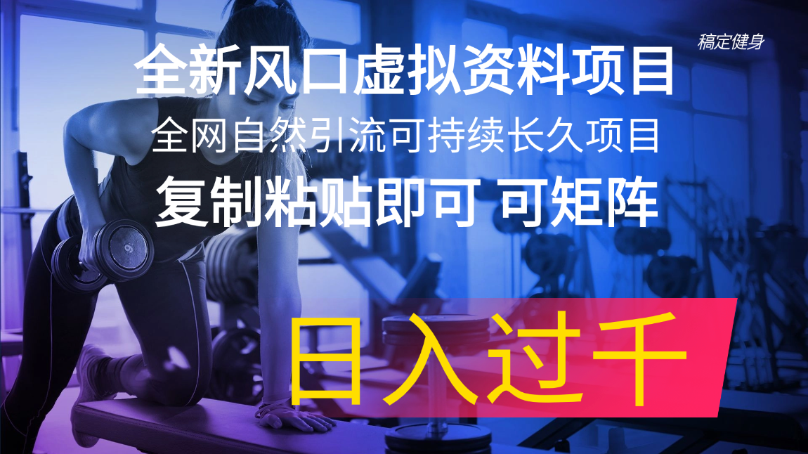 （11587期）全新风口虚拟资料项目 全网自然引流可持续长久项目 复制粘贴即可可矩阵…-92资源网