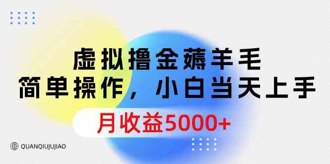 （9864期）虚拟撸金薅羊毛，简单操作，小白当天上手，月收益5000+-92资源网