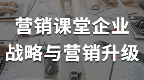 营销课堂企业战略与营销升级-副业项目资源网