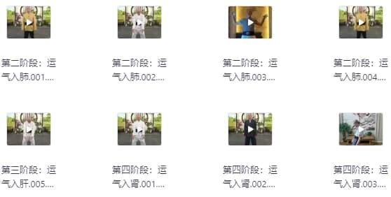 陆天龙极龄呼吸法21天养生营-92资源网