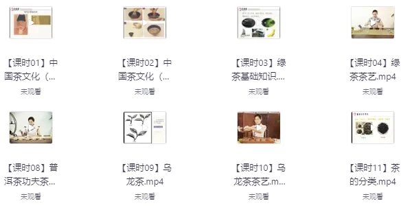 茶艺全套课程合集-92资源网