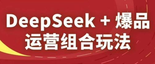 DeepSeek+爆品运营组合玩法-92资源网