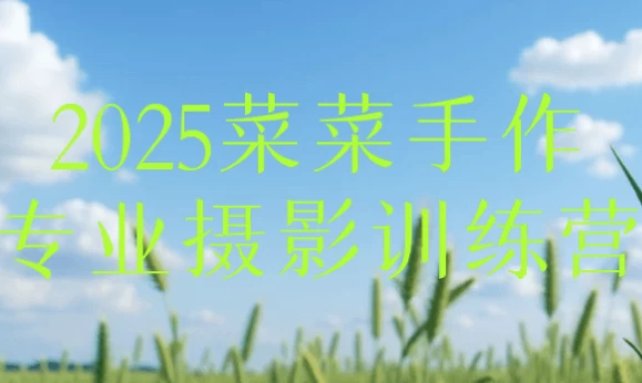 2025菜菜手作专业摄影训练营-92资源网