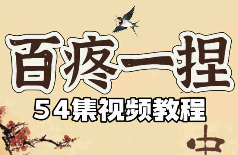 百疼一捏合集54节课程-副业项目资源网