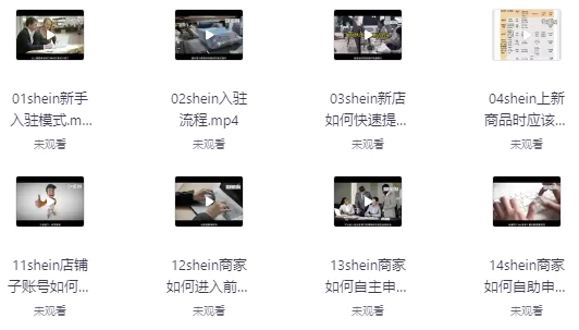 SHEIN希音全流程运营实战课-92资源网