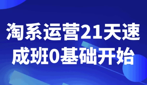 淘系运营21天速成班0基础开始-92资源网