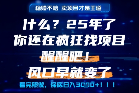 什么？25年你还在疯狂找项目做，醒醒吧，看完这些你全都懂了！【揭秘】-92资源网