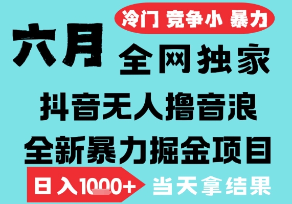 2025年6月高爆抖音无人直播最新撸音浪掘金项目，无脑日入1k+，低门槛小白可做，可矩阵放大【揭秘】-92资源网