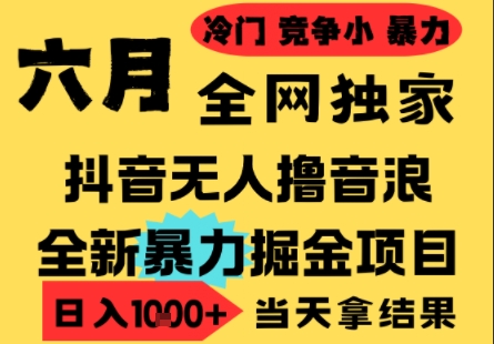 25年6月高爆抖音无人直播最新撸音浪掘金项目，小白可做，无脑日入1k+，门槛低可批量矩阵【揭秘】-92资源网