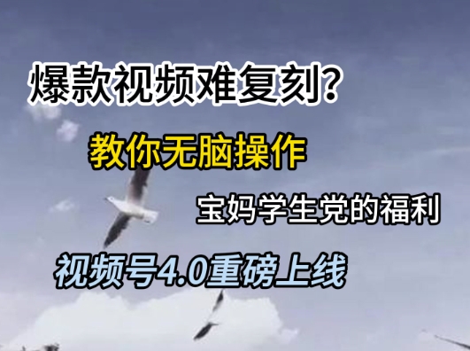 视频号4.0重磅上线，爆款视频难复刻？教你无脑操作宝妈学生党的福利【揭秘】-92资源网