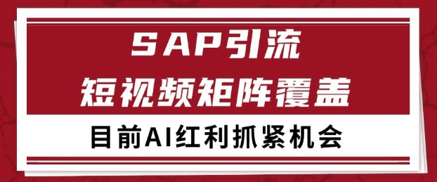 小红书某音sap赛道引流获客 自热矩阵日引200+【揭秘】-92资源网