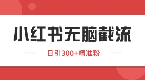 小红书截流同行客源，独家野路子获客玩法 日引200+暴力获客【揭秘】-92资源网