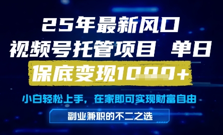 25年最新风口，视频号托管项目，单日保底变现1k+，手把手教学【揭秘】-92资源网
