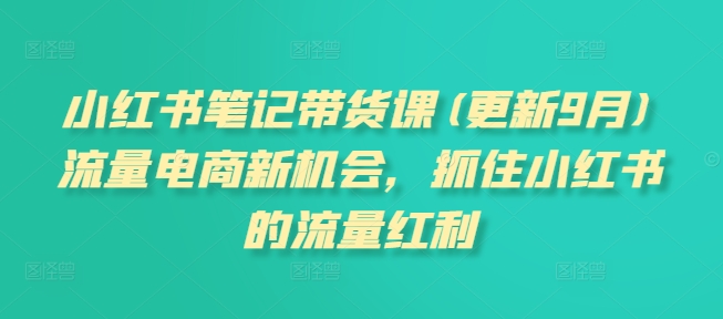 小红书笔记带货课(更新25年5月)流量电商新机会，抓住小红书的流量红利-92资源网