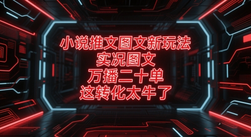 小说推文图文新玩法，实况图文，万播二十单，这转化太牛了！-92资源网