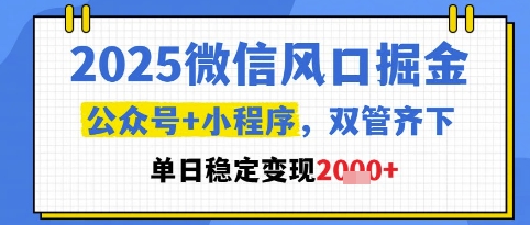 2025微信风口掘金，公众号+小程序双管齐下，单日稳定变现1k+【揭秘】-92资源网