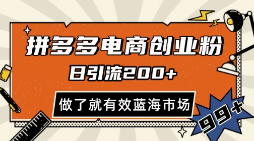 拼多多引流电商创业粉，日引200+，可矩阵放大，做了就有效【揭秘】-92资源网