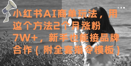 小红书AI商单玩法，用这个方法2个月涨粉7W+，新手也能接品牌合作(附全套指令模板)-92资源网