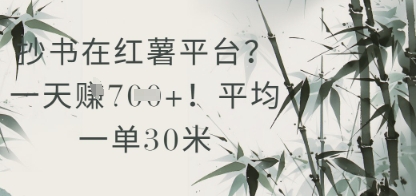 抄书在小红薯平台？平均一单30米，一天收益几张！-92资源网