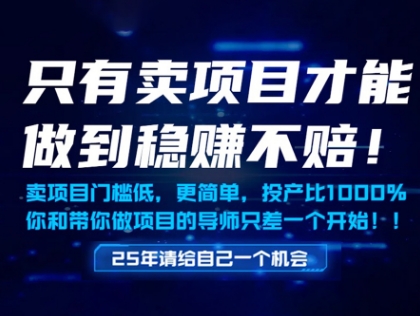 只有卖项目才能做到稳挣不赔，门槛低，更简单，你也可以年入百个W【揭秘】-92资源网