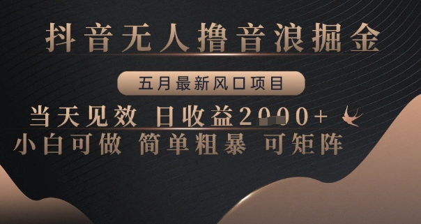 抖音无人撸音浪掘金，五月最新风口项目，当天见效，日收益多张，小白可做简单粗暴可矩阵【揭秘】-92资源网