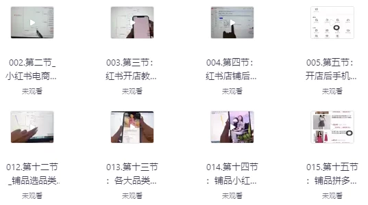 小红书高级电商课程，新手小白实操教学-副业项目资源网