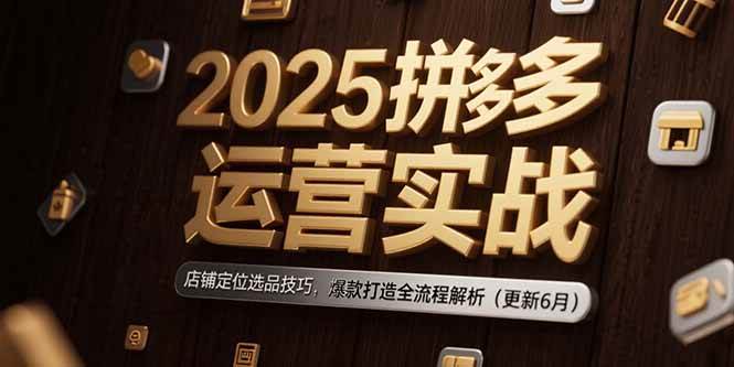 （15235期）2025拼多多运营实战：店铺定位选品技巧，爆款打造全流程解析（更新6月）-92资源网