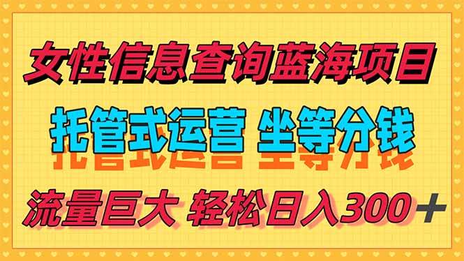 （15216期）稳定日入300＋，小众信息查询蓝海项目，全程懒人式托管，解放你的时间-92资源网