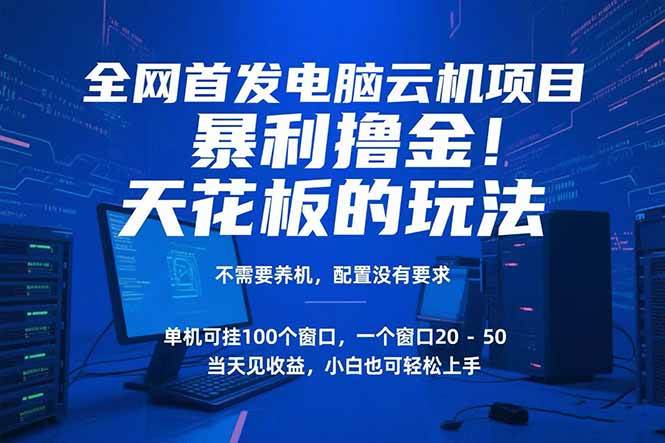 （15323期）电脑云机项目 暴力撸金玩法，不需要养机 配置没有要求 单机100个窗口一…-92资源网