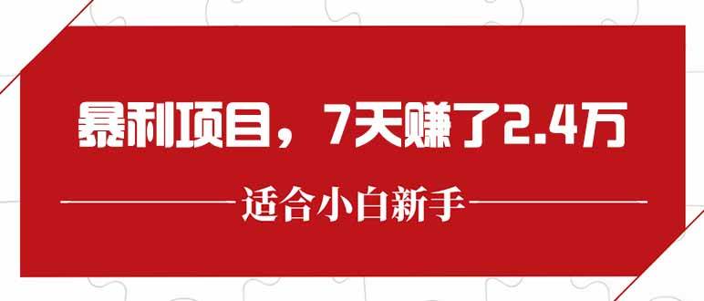 （15228期）最新暴利项目，每单收益轻松在300以上，7天赚了2.4万-92资源网