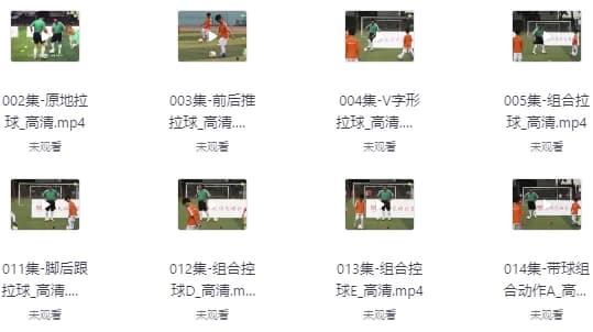 校园足球教学视频教程-副业项目资源网